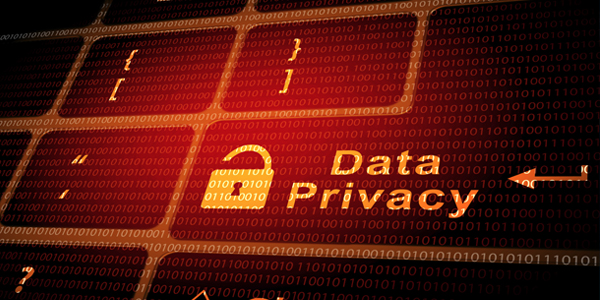 Privacy Portal Blog Image