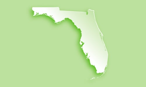 Florida map illustration