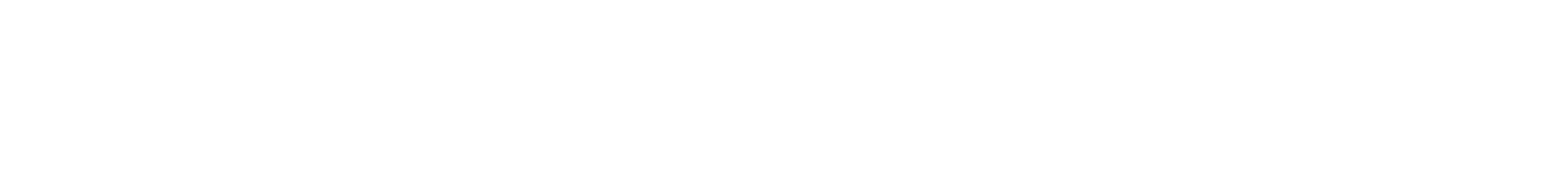Bilzin Logo